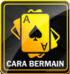 Cara Bermain HSS303